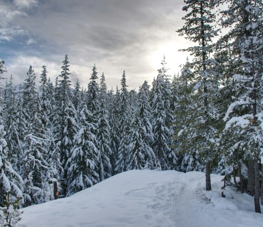 Aires protégées : quelques tensions aux tables de concertation