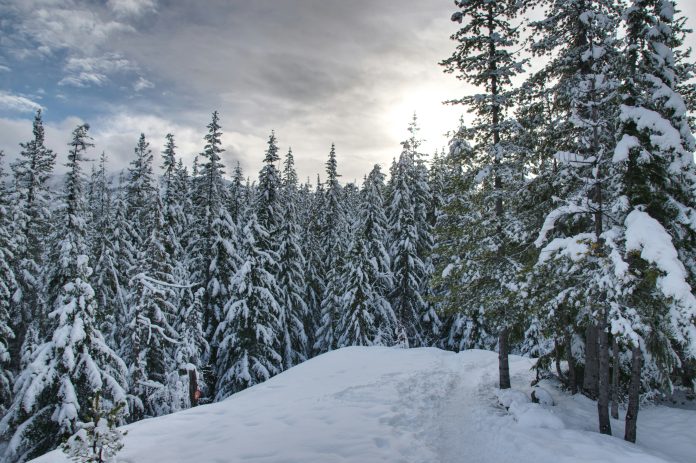 anastasiya-dalenka-5dteBDgYyMA-unsplash