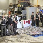 Saisie de bars rayés et de maquereaux