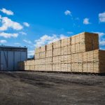 Le Syndicat des producteurs de bois commande la suspension des activités d’abattage en forêt privée