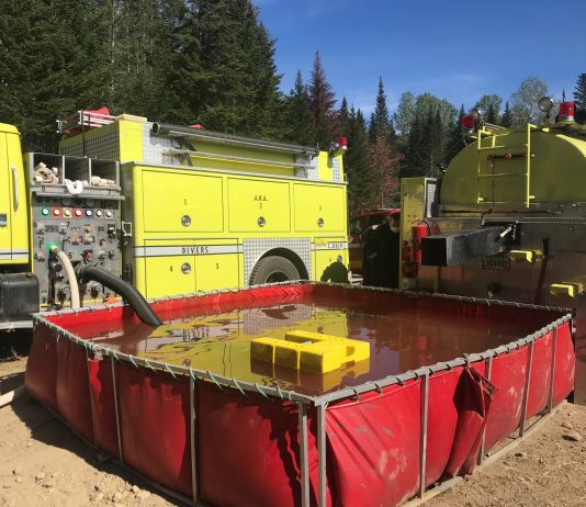 Feu de broussaille neutralisé près de la forêt