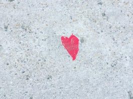 Dossier portrait contre les  agressions sexuelles