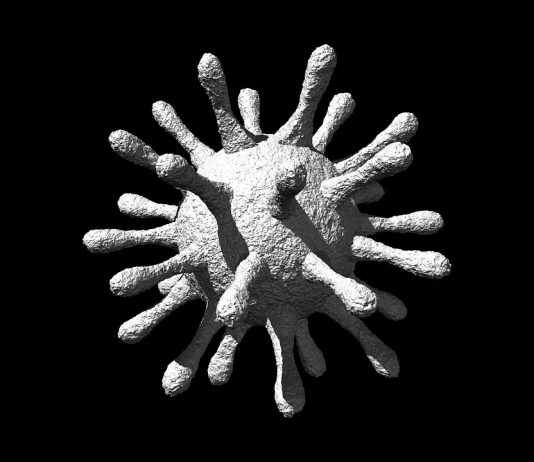 COVID-19: Une mesure de protection pour la Gaspésie