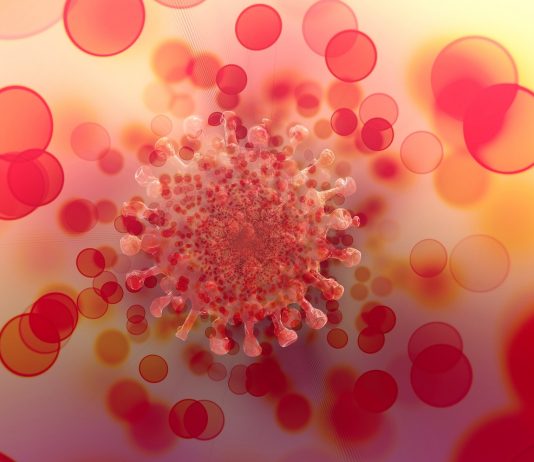 Les leçons à tirer de la pandémie