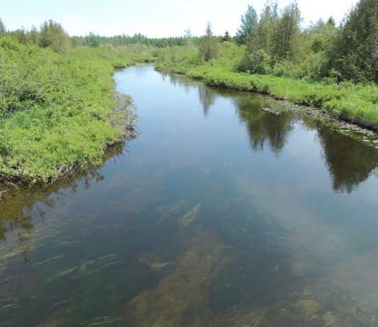 Des investissements pour des projets de protection de la ressource eau