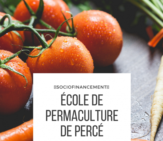 École de permaculture de Val-d’Espoir: 50 000$, une première étape d’accomplie