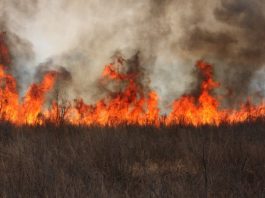 100 pompiers québécois dont un Gaspésien en renfort pour les feux de forêt dans l’Ouest