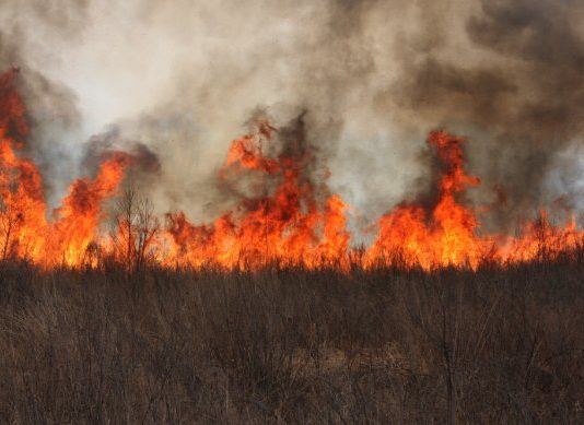100 pompiers québécois dont un Gaspésien en renfort pour les feux de forêt dans l’Ouest