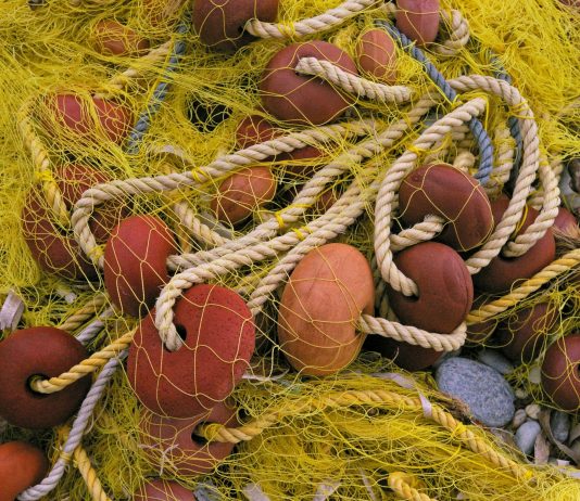 Une aide d’Ottawa pour nos pêcheurs