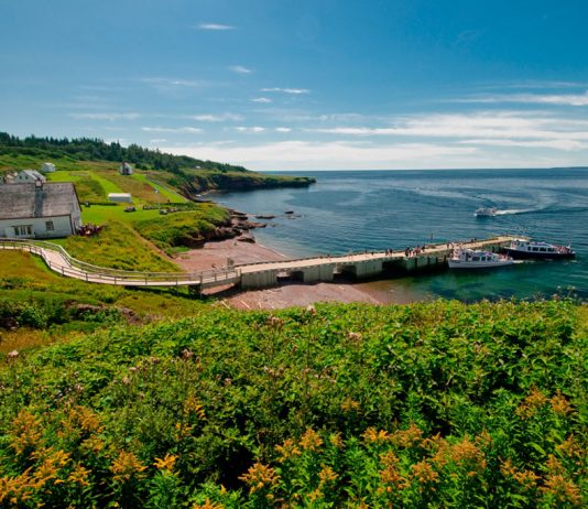 Une excellente saison pour le Parc de l’Île-Bonaventure-et-du-Rocher-Percé