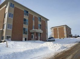 Des HLM en manque d’amour