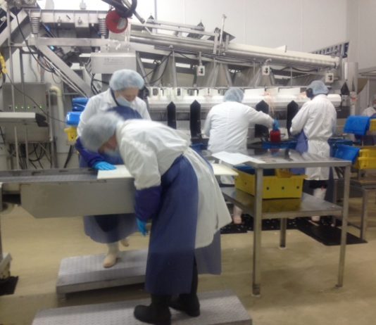 Baisse de quotas: Facteurs sociaux économiques déterminants