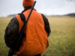 Opération policière pour retrouver un chasseur à Murdochville