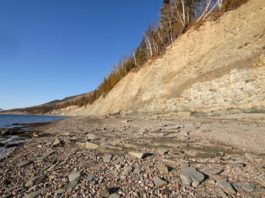 UN FOSSILE UNIQUE AU MONDE