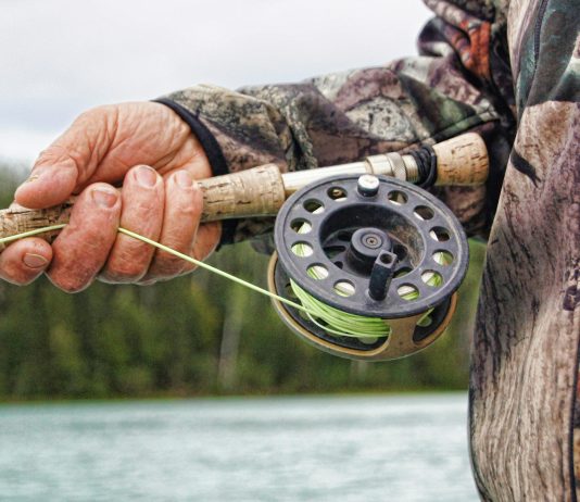 Le saumon se fait attendre dans la région