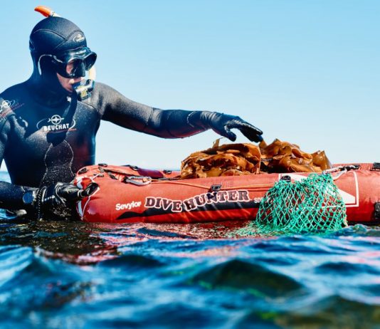 L’entreprise Un Océan de saveurs stupéfait de la règlementation du MPO