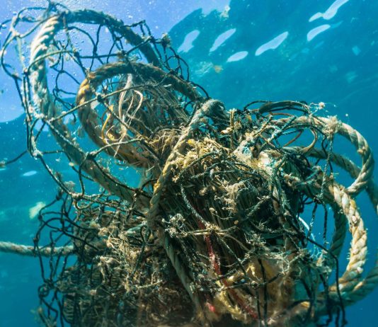 Environ 11 000 kg d’engins fantômes retirés du golfe grâce à l’ACPG