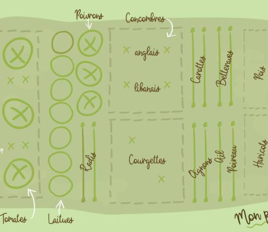 Comment faire un plan de jardin?