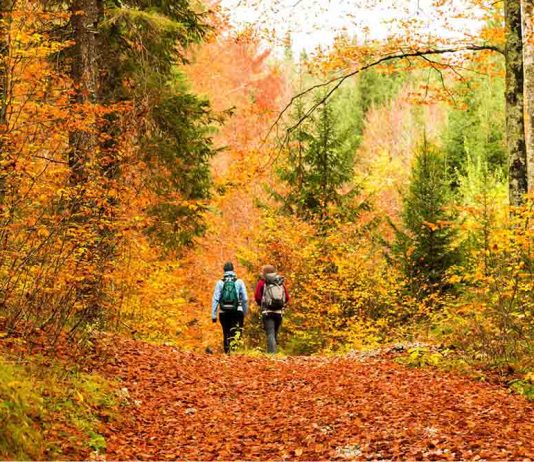 Des activités de ressourcement pour les proches aidants