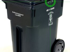 DES PUCES S’INVITENT DANS VOS POUBELLES