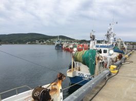 Le lien maritime Gaspésie-Anticosti et Côte-Nord toujours une priorité pour Québec