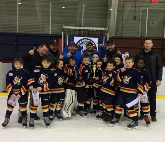Championnat hockey simple lettre: Transport Renard champion novice